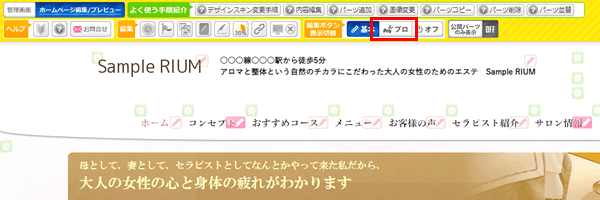 プレビュー画面プロモード