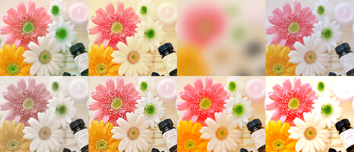 Canvaでアップロードした写真・画像を加工する