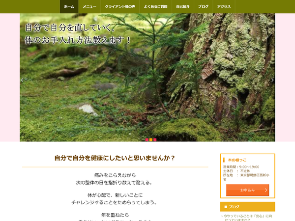 木の根っこ 様