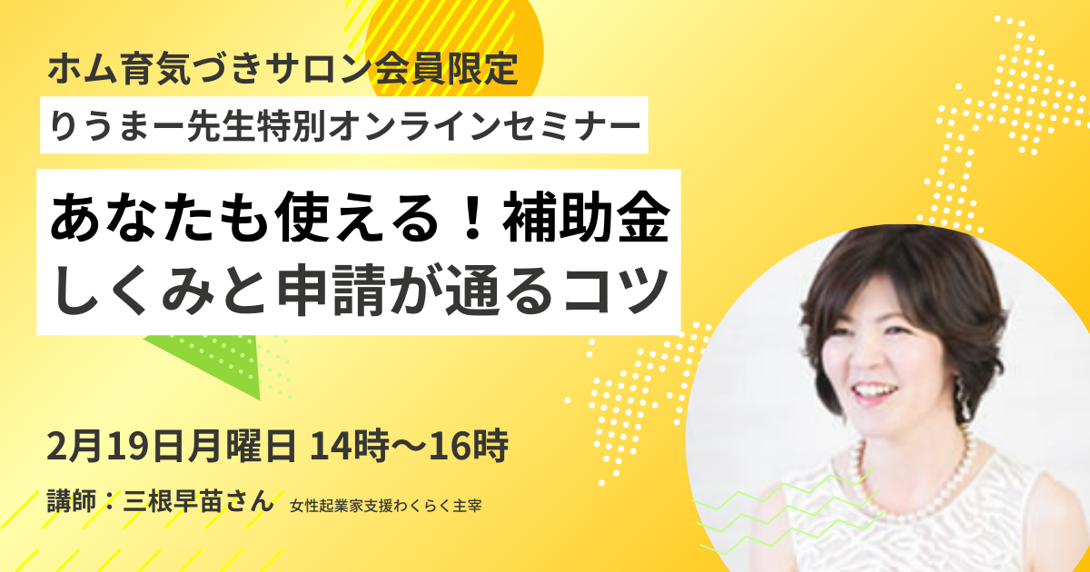 あなたも使える！補助金のしくみと申請が通るコツ【りうまー先生特別セミナー】｜リウムスマイル！