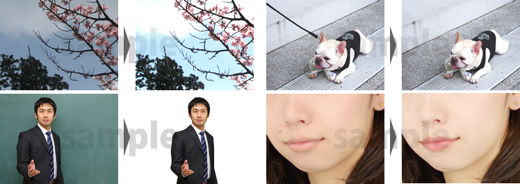 ホームページ写真加工サンプル